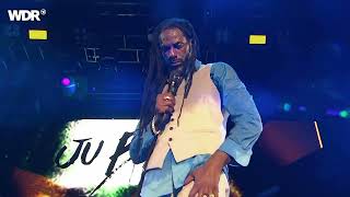 BUJU BANTON - Murderer: Performed Live @ Smmerjam2019 [HD]