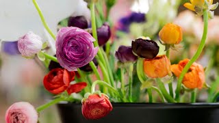 Here's how they prep for Mother's Day at this longtime Sacramento florist