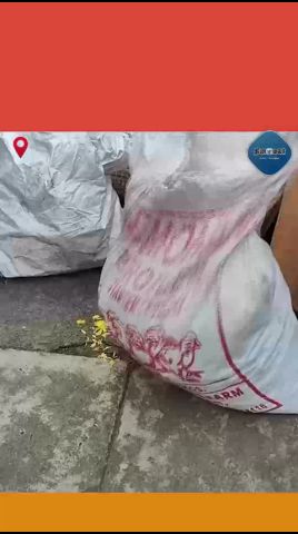 உயிருக்கே ஆபத்து! பாவம் பண்ணாதே பக்தா! #Velliangiri  #SivanTemple #SaveVelliangiri