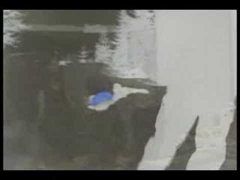 在 YouTube 上觀看「Walk off the Earth - Spiralling Son」 在 YouTube 上觀看「Walk off the Earth - Spiralling Son」