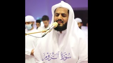 الشيخ رعد الكردي ما تيسر من سورة الروم الله الذي خلقكم ثم رزقكم ثم يميتكم ثم يحيكم
