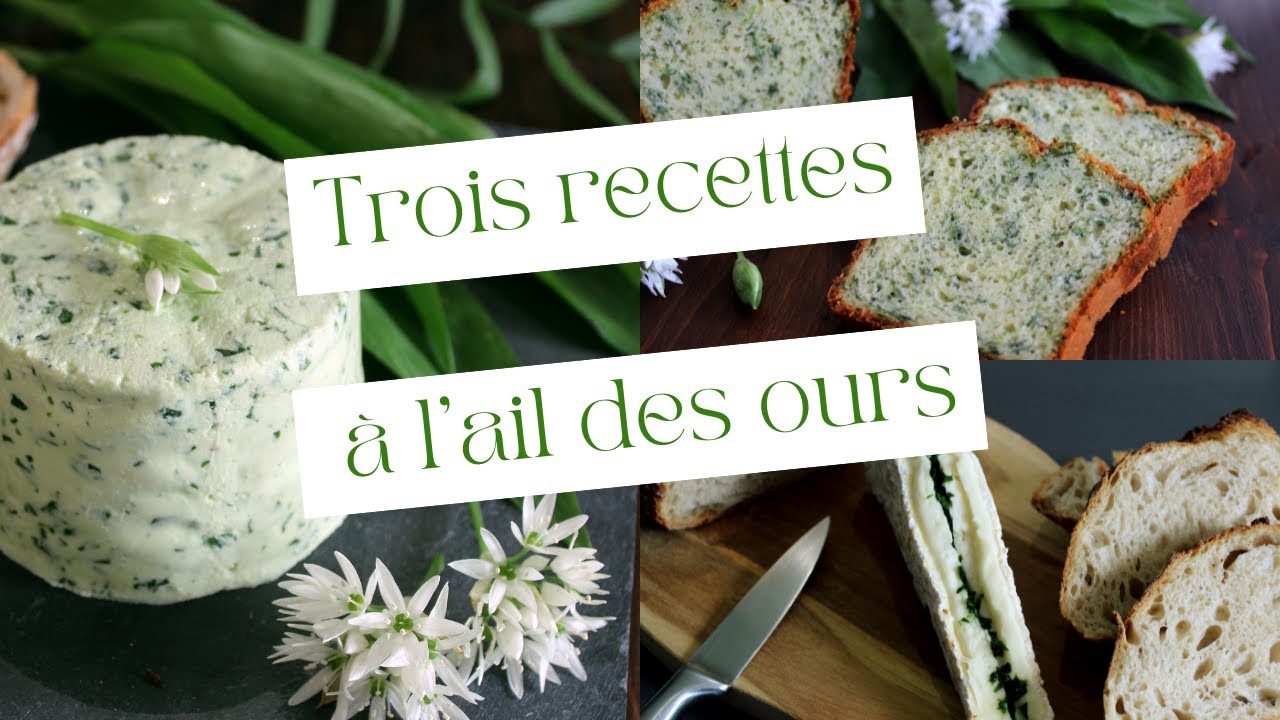 Trois recettes à l'ail des ours
