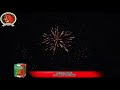 DCF2281 PINEAPPLE200 GRAMS 16 SHOTS CAKE FIREWORKS/2025 FIREWORKS PRODUCT LIST/1.4G FIREWORKS/DOREMI