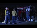 **Warning** Injured Horse Rescued after Stomping Through Trailer Floor