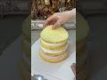 Immersive cake making | Harbin cake #Kaito Kidd #Kuroba Kaito #cake making