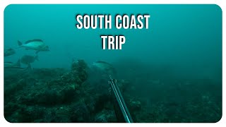 Rob Allen Spearfishing In Clear Waters 2024