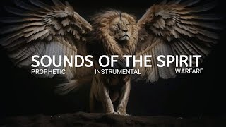1 HOUR INSTRUMENTAL WORSHIP MUSIC || SOUNDS OF THE SPIRIT || PRAYER AND MEDITATION MUSIC.