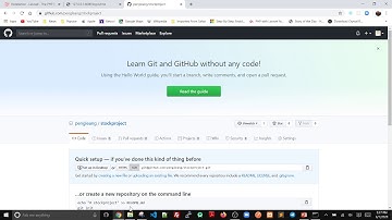 laravel project and github
