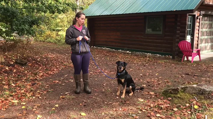 Susan Garretts - collar grab game