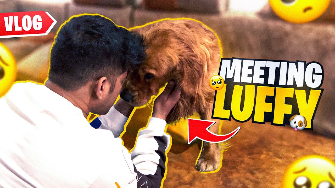 V-15 | Meeting Luffy After Months 🥺 | Life Uncut w/ Scout