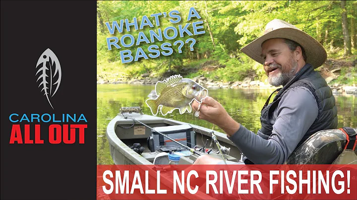 Flat River Fishing/Roanoke Bass | Carolina ALL OUT...