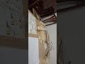 Собираю 63 см конструктор
