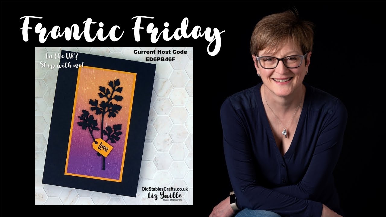 NEW SERIES! Frantic Friday. Stampin' Up! Meadow Dies