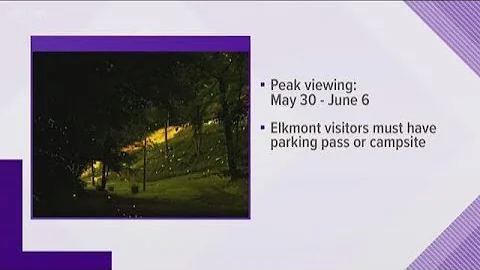 Smokies announce peak dates for synchronous fireflies