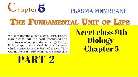 Part 2 The Fundamental unit of Life Class 9 Science Chapter 5 Biology CBSE NCERT