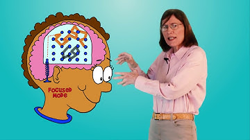 learning how to learn youth   01   Video 1 Easy Does It Why Trying Too Hard Can Sometimes Be a Probl