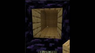 Minecraft house smaller on the outside but bigger on the inside