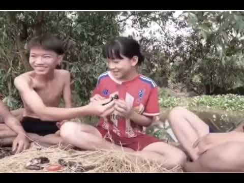 Ái chính thức