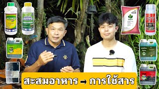 การสะสมอาหาร ถึง การใช้สารแพคโค มีวิธีการและขั้นตอนอย่างไรบ้าง “คลิปนี้มีคำตอบ”