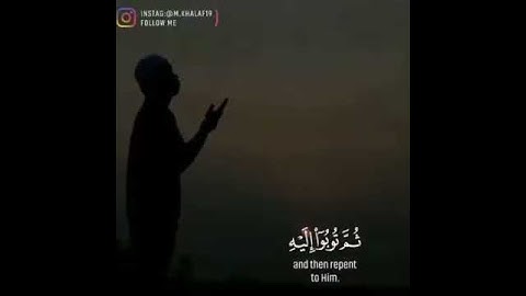 حالات واتساب قرآن كريم مقاطع قصيرة || القارئ محمد النقيب