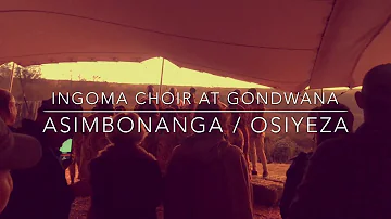 Ingoma at Gondwana:  Johnny Clegg Asimbonanga/Osiyeza