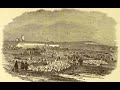 The Great Sheep Panic: A 140-Year-Old English Mystery