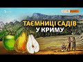 Звідки фрукти у кримському лісі? | Крим.Реалії