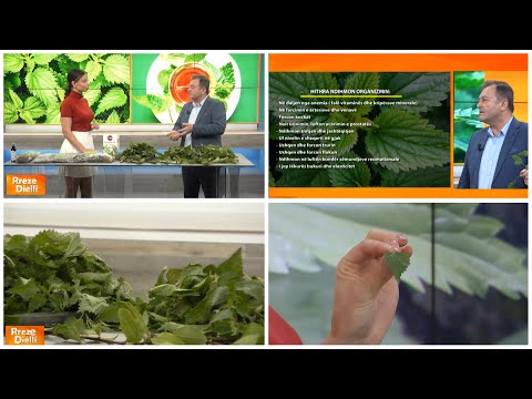 Video: Problemet e bimëve të hudhrës në kopshte - Menaxhimi i dëmtuesve dhe sëmundjeve të hudhrës