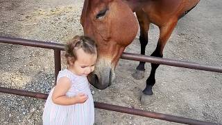 Horses Are Amazingly Gentle Companions For Babies, This Proves It ❤️