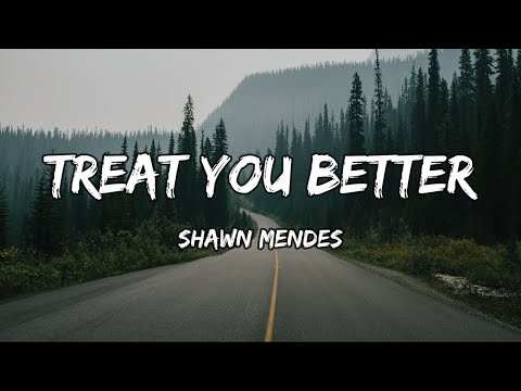 promise I won't let you down #shawnmendes #treatyoubetter