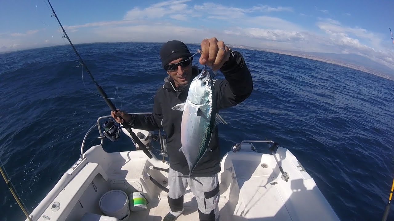 Traina Costiera di superficie con artificiali Pesca alletterati YouTube Traina Costiera di superficie con artificiali Pesca alletterati YouTube