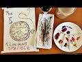 Maira Kalman's Exhibition Insights