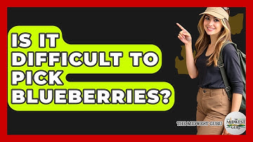 Is It Difficult To Pick Blueberries? - The Midwest Guru