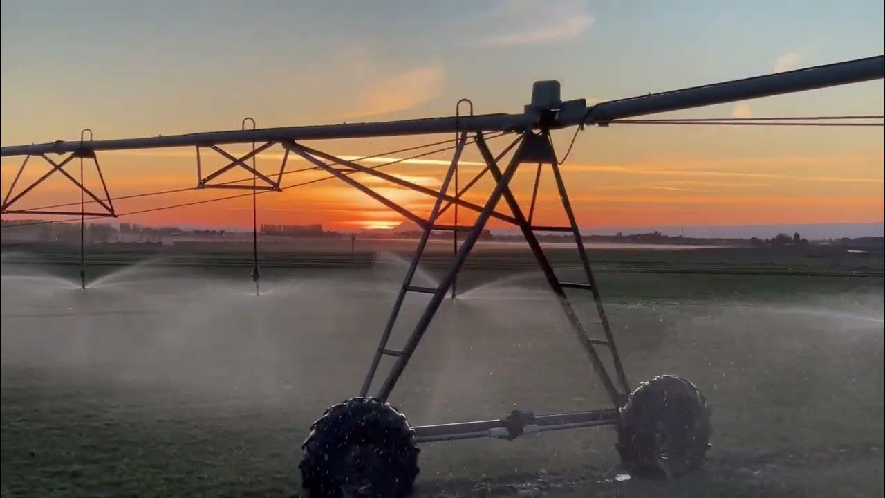 EZ FLUSH FILTERS IN ACTION YouTube