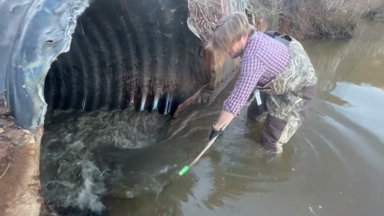 Checking them Dams and Traps