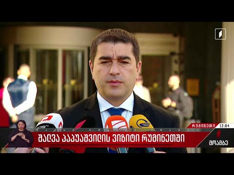 შალვა პაპუაშვილის ვიზიტი რუმინეთში