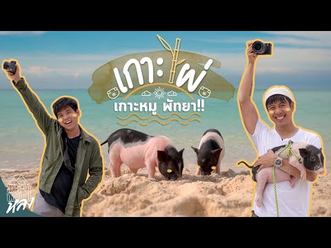 เกาะหมูพัทยา เกาะไผ่!! เกาะลับแห่งใหม่ของพัทยา!! | อาสาพาไปหลง