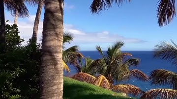 يتوارى من القوم من سوء ما بشر به أيمسكه على هون أم يدسه في التراب ألا ساء ما يحكمون. #سورة_النحل