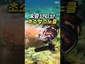 물놀이 가기 전, 이거 모르면 진짜 후회합니다! 🌊여름 휴가 준비하시죠?