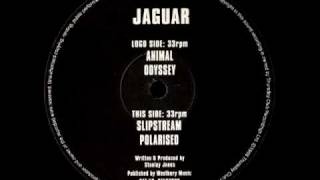 Jaguar - Animal
