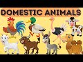 DOMESTIC ANIMALS | Domestic Animals Names For Children With Pictures | Educational Videos For Kids