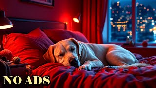 Peaceful Dog Sleepの配信のサムネイル画像