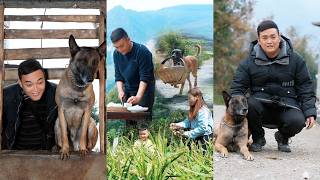 温馨乡村日常:狗狗帮助家人买菜干活,照顾生病妈妈🐶♥️