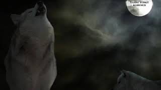 Ezan Dinmez Bayrak Inmez Şehit Ölmez Diyen Birileri Var