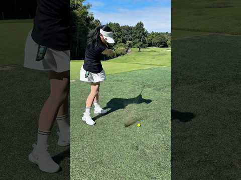 골프장 관계자님 보세요 국내골프장 도입시급 #골프장