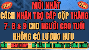 "MỚI NHẤT 2025: Cách Nhận Trợ Cấp Gộp Tháng 7–8–9 Cho Người Cao Tuổi Không Có Lương Hưu"