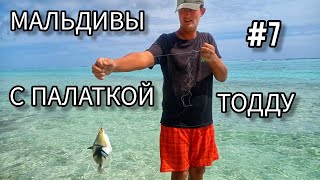 видео: 7. Мальдивы с палаткой. Впервые ограбили. Остров Тодду (Thoddoo) картинка: 7. Мальдивы с палаткой. Впервые ограбили. Остров Тодду (Thoddoo)