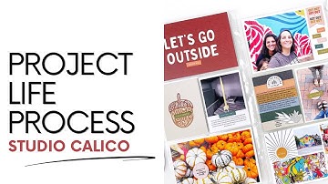 Project Life Process 2023 | DT Studio Calico November Unboxing