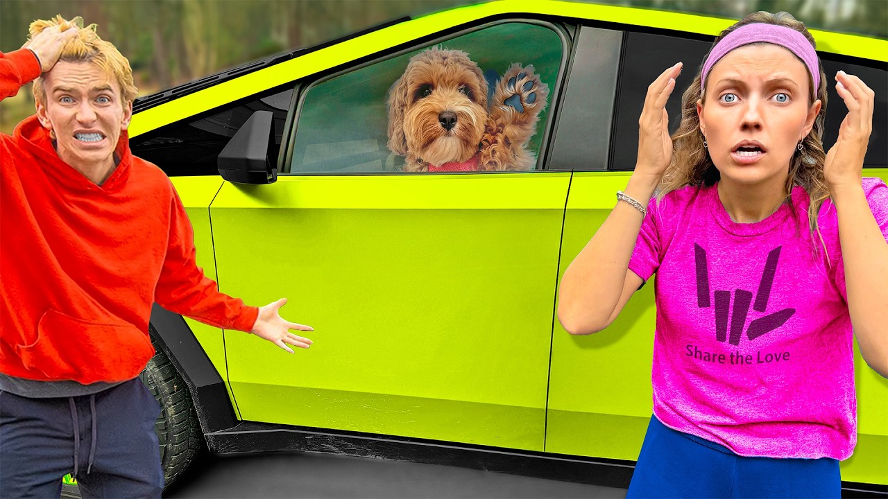 Мой щенок застрял в Кибертраке Стивена!