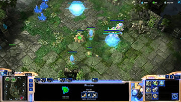 Openings for all Protoss Matchups